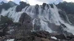 Handwara Waterfall: ये हैं छतीसगढ़ का सबसे उंचा और खूबसूरत वॉटरफॉल, दिलाता है ‘बाहुबली’ फिल्म की याद