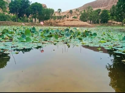 Madurai Proud about Dharmakulam and Arittapatti Village Pride Of Madurai : தர்மம் செய்யும் தர்மக்குளம்..அரிட்டாபட்டியின் இன்னொரு  அழகு.. பெருமையை சுமக்கும் மதுரை..