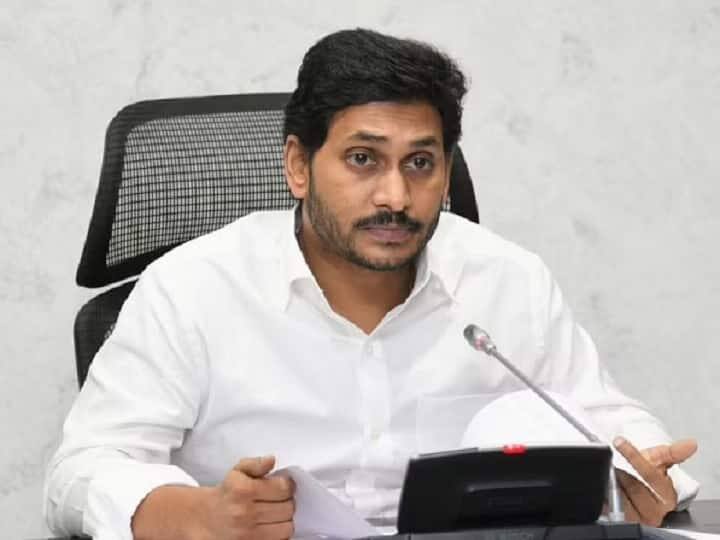 Andhra Pradesh: YSR Congress Party Plenary To Focus On Roadmap For 2024 Polls Andhra Pradesh: YSR Congress Party Plenary To Focus On Roadmap For 2024 Polls