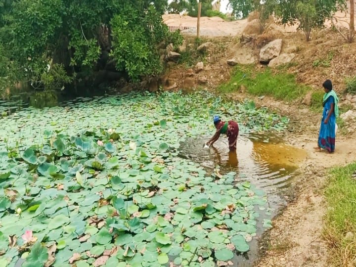 Pride Of Madurai : தர்மம் செய்யும் தர்மக்குளம்..அரிட்டாபட்டியின் இன்னொரு  அழகு.. பெருமையை சுமக்கும் மதுரை..