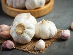 Benefits of Garlic : લસણના આ અદભુત ફાયદાઓ વિશે આપ અજાણ હશો, જાણો કેટલું ગુણકારી છે લસણ