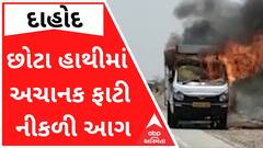 દાહોદઃ છોટા હાથીમાં અચાનક ફાટી નીકળી આગ, ચાલકનો આબાદ બચાવ