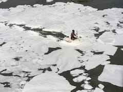 Pollution In River Yamuna: यमुना नदी में बन रहा है जहरीला झाग, जानिए क्या है वजह ?