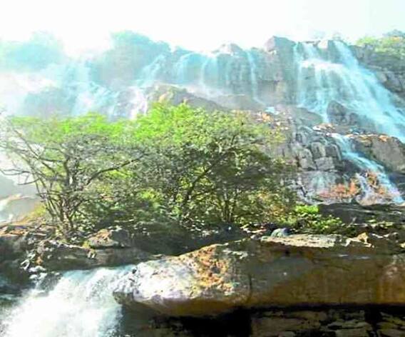 Handwara Waterfall: ये हैं छतीसगढ़ का सबसे उंचा और खूबसूरत वॉटरफॉल, दिलाता है ‘बाहुबली’ फिल्म की याद