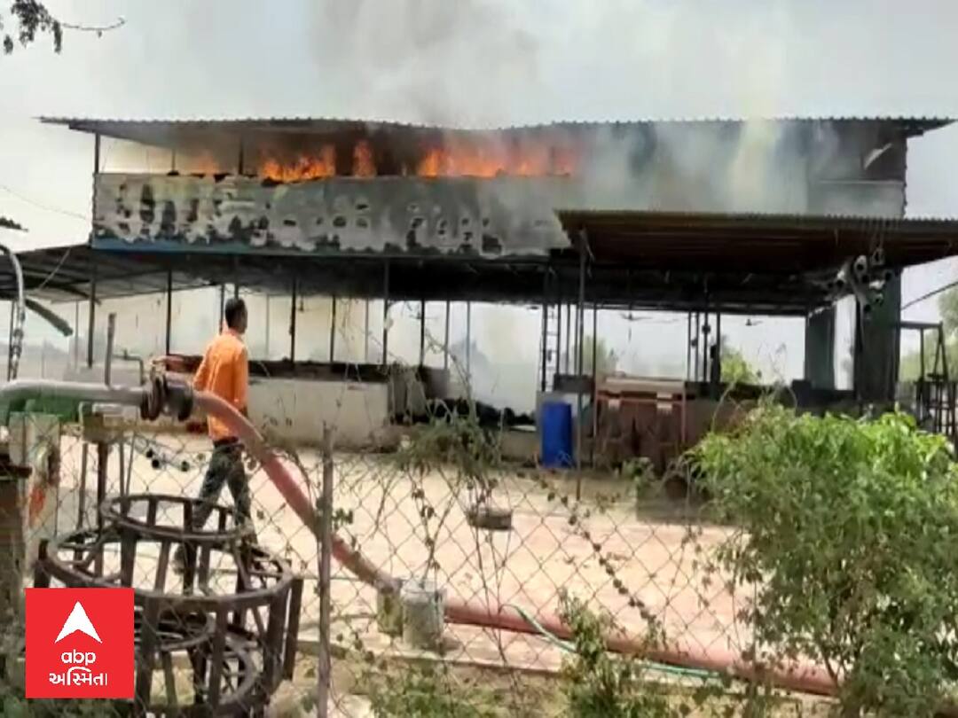 Five cows died in a fire at Vasai village in Dabhoi taluka of Vadodara Vadodara : ડભોઇના વસઈ ગામે આગ, ઘાંસની 2000 ગાંસડીઓ બળી ગઈ, 5 ગાયોના મોત