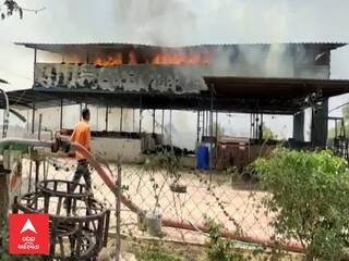 Vadodara : ડભોઇના વસઈ ગામે આગ, ઘાંસની 2000 ગાંસડીઓ બળી ગઈ, 5  ગાયોના મોત