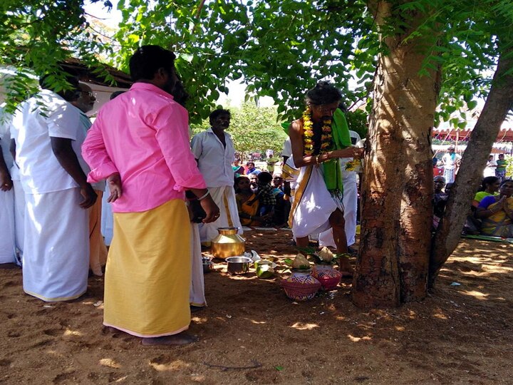 பத்திரிகை அடிச்சு அரச மரத்துக்கு கல்யாணம்..வேப்பமரம்தான் பொண்ணு!  திண்டுக்கல்லில் அடடே திருமணம்!