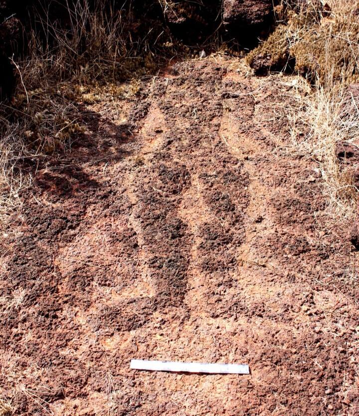 लज्जागौरी ही देवता शिरविरहीत असते. डोक्याऐवजी कमळाचे फूल असते. ही देवी सुफलनाचे प्रतीक असल्याने ती जननस्थितीमध्ये दाखवली जाते. खोटले येथील हे कातळशिल्प आधुनिक काळातील लज्जागौरीशी विलक्षण साम्य दर्शवते. कदाचित आधुनिक काळातील लज्जागौरी हे या प्रतिमेचे उन्नत रुप असावे, अशी शक्यता आहे.