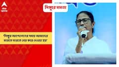 Mamata Banerjee: সিঙ্গুর আন্দোলনের সময় আমাদের লাঠি দিয়ে মারতে মারতে বের করে দেওয়া হয়েছিল: মুখ্যমন্ত্রী