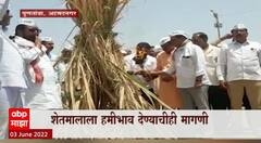 Puntamba, Ahmednagar : पुणतांब्यात शेतकरी आंदोलनाचा तिसरा दिवस, आंदोलकांकडून ऊसाची होळी