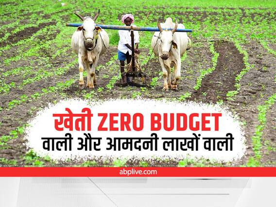 Zero Budget Farming Technique: बिना कैमिकल खेती से मालामाल होंगे किसान, जानें क्या है 'प्राकृतिक खेती' का नुस्खा Zero Budget Farming Technique: बिना कैमिकल खेती से मालामाल होंगे किसान, जानें क्या है 'प्राकृतिक खेती' का नुस्खा