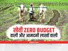 Zero Budget Farming Technique: बिना कैमिकल खेती से मालामाल होंगे किसान, जानें क्या है 'प्राकृतिक खेती' का नुस्खा