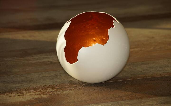 ডিমের খোসার গুঁড়া ব্যবহার করতে পারেন স্ক্রাব হিসেবে। ত্বকের মরা চামড়া দূর হবে।