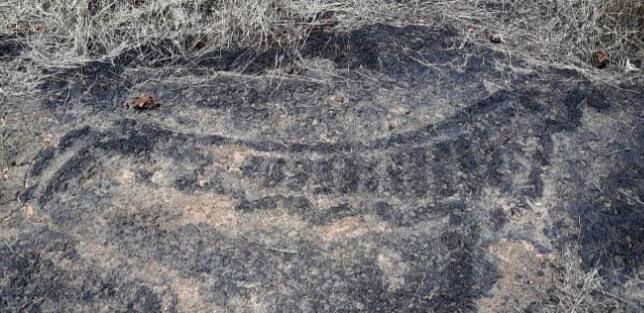 खोटले गावच्या धनगरवाड़ी सड्यावर आढळलेल्या या शिल्पांमध्ये मनुष्याकृती, प्राणी, मासे, अमूर्त रचना यांचा समावेश आहे. विशेष म्हणजे येथे आढळलेले 'लज्जागौरी' सदृश कातळशिल्प आश्चर्यकारक असून आधुनिक काळातील लज्जागौरी हे या प्रतिमेचे उन्नत रुप असावे अशी शक्यता आहे. मात्र ही कातळशिल्प धोक्यात आल्याचे चित्र समोर येत आहे.