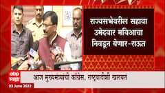 Sanjay Raut On Rajya Sabha : घोडेबाजार टाळण्यासाठी मविआचे नेते देवेंद्र फडणवीसांना भेटले : संजय राऊत