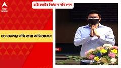 Abhishek Banerjee: হাইকোর্টের নির্দেশ মেনে সফর সংক্রান্ত নথি ED দফতরে জমা অভিষেকের
