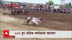 Karjat मध्ये Maharashtra Kesari बैलगाडी शर्यत , 500 अधिक स्पर्धकांचा सहभाग : ABP Majha