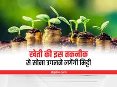 Organic Farming Special: खेती की इस तकनीक से सोना उगलने लगेगी मिट्टी, सरकार भी करेगी आर्थिक मदद