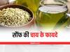 Fennel Tea Benefits: गर्मियों में चाय में मिलाएं बस एक चम्मच सौंफ, मिलेंगे ये 6 फायदे