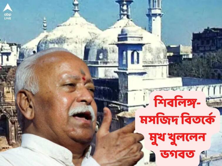 RSS Chief Mohan Bhagwat says we shouldn't bring out a new matter daily amid row over Gyanvapi mosque Mohan Bhagwat: মসজিদে মসজিদে শিবলিঙ্গ খুঁজে বেড়ানো অর্থহীন, জ্ঞানব্যাপী বিতর্কে মুখ খুললেন ভগবত