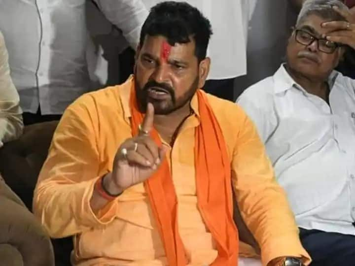 Gonda Kaiserganj Uttar Pradesh BJP MP Brij Bhushan Sharan Singh attacked MNS chief Raj Thackeray Gonda: बीजेपी सांसद बृजभूषण शरण सिंह का राज ठाकरे पर जोरदार हमला, कर दिया ये बड़ा दावा