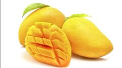 ગરમીમાં અમૃત ફળ કહેવાતા કેરીનું સેવન કરવાથી શરીરને થાય છે આ અદભૂત ફાયદા