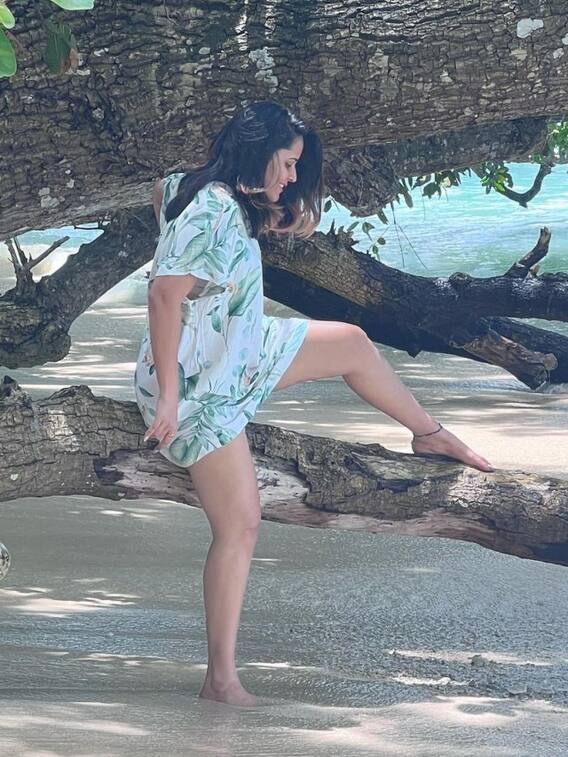 చెట్టెక్కిన అనసూయ, జారిపోతావేమో జాగ్రత్త!