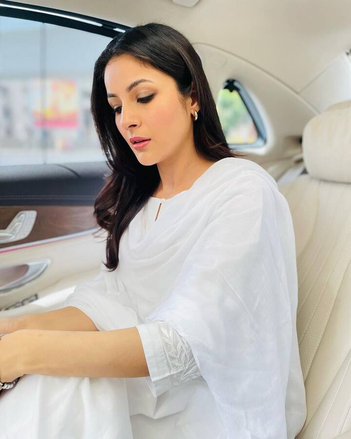 शुक्रवारी शहनाजने तिचे काही बोल्ड फोटो शेअर करून सोशल मीडियावर तापमान वाढवले ​​आहे. या फोटोंमध्ये अभिनेत्री स्विमिंग पूलमध्ये दिसत आहे.(Photo:/shehnaazgill/ig)