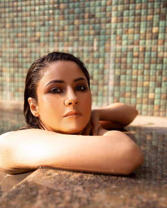 Shehnaaz Gill Is Oozing Oomph As She Beats The 'Summer Heat', SEE PICS