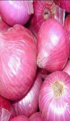 कांद्याचे दर कोसळल्याने शेतकरी चिंतेत