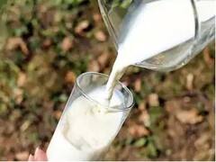 Honey for Weight loss : वजन कमी करायचंय? 'हे' 6 उपाय ट्राय करा, झटपट दिसेल फरक