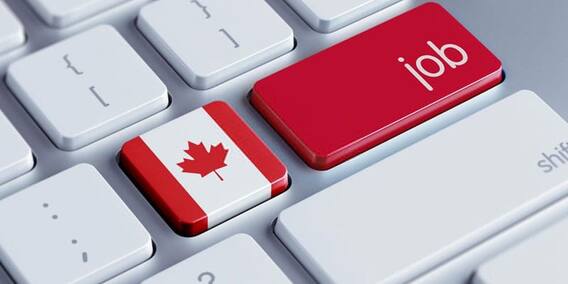 Job Vacancies in Canada: ਕੈਨੇਡਾ 'ਚ 10 ਲੱਖ ਤੋਂ ਵੱਧ ਵੈਕੇਂਸੀ ਇੱਥੇ ਕਲਿੱਕ ਕਰਕੇ ਜਾਣੋ ਹੋਰ ਜਾਣਕਾਰੀ Job Vacancies in Canada: ਕੈਨੇਡਾ 'ਚ 10 ਲੱਖ ਤੋਂ ਵੱਧ ਵੈਕੇਂਸੀ ਇੱਥੇ ਕਲਿੱਕ ਕਰਕੇ ਜਾਣੋ ਹੋਰ ਜਾਣਕਾਰੀ