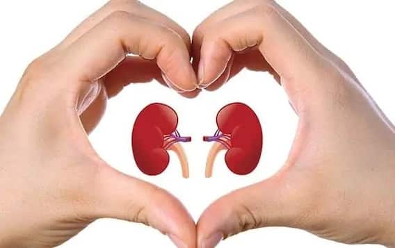 Kidney Problem : किडनी निकामी झाल्यावर दिसतात 'ही' लक्षणं; तुमची किडनी निरोगी आहे की नाही? जाणून घ्या Kidney Problem : किडनी निकामी झाल्यावर दिसतात 'ही' लक्षणं; तुमची किडनी निरोगी आहे की नाही? जाणून घ्या