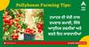 Pollyhouse Farming Tips: ਟਮਾਟਰ ਦੀ ਖੇਤੀ ਨਾਲ ਦਮਦਾਰ ਕਮਾਈ, ਸਿੱਖੋ ਆਧੁਨਿਕ ਤਕਨੀਕਾਂ ਅਤੇ ਬਰਤੋ ਇਹ ਸਾਵਧਾਨੀਆਂ