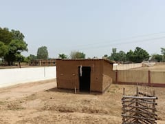 Surajpur News: सूरजपुर के इस गांव में सरकारी जमीन पर लोगों ने किए अतिक्रमण, नहीं हुई अब तक कार्रवाई