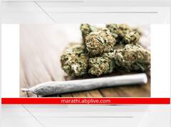 Pune Crime: चक्क घरातून विकत होते गांजा; पोलिसांनी सापळा रचून केली अटक