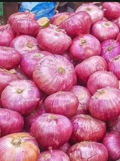 कांदा उत्पादकांचा आक्रोश राज्य सरकारपर्यंत जाण्यासाठी कांदा परिषदेचं आयोजन