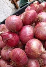 सदाभाऊ खोत यांच्या नेतृत्वाखाली उद्या कांदा परिषद