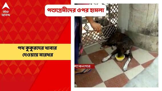 North 24 Paragana: পথ কুকুরদের খাবার দেওয়ায় পশুপ্রেমীদের ওপর হামলার অভিযোগ | Bangla News