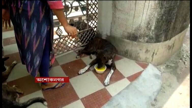 North 24 parganas kankinara ashoknagar dog lovers beaten complian in police North 24 Parganas : পথ কুকুরদের খাবার দেওয়ায় আক্রান্ত পশুপ্রেমীদের উপর হামলা, অভিযোগ উত্তর ২৪ পরগনায়