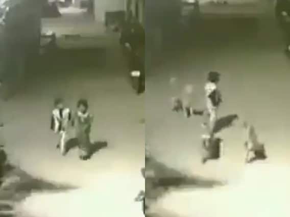 Watch: इस बच्चे की बहादुरी ने जीता दिल! बहन को बचाने के लिए खूंखार कुत्तों से भिड़ गया Watch: इस बच्चे की बहादुरी ने जीता दिल! बहन को बचाने के लिए खूंखार कुत्तों से भिड़ गया