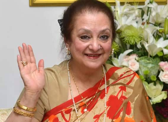 मंदाकनी से लेकर मीनाक्षी शेषाद्रि तक, इन अभिनेत्रियों ने परिवार की खातिर छोड़ दिया अपना फिल्मी करियर