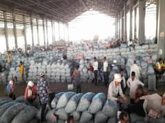 Rajasthan में किसानों के लिए ब़ड़ी खुशखबरी, केंद्र सरकार खरीदेगी लहसुन-प्याज, पढ़ें पूरी डिटेल्स