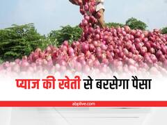 Kharif Onion Farming: खरीफ प्याज की खेती से बरसेगा पैसा, नर्सरी से लेकर रोपाई तक करें ये काम