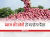 Kharif Onion Farming: खरीफ प्याज की खेती से बरसेगा पैसा, नर्सरी से लेकर रोपाई तक करें ये काम