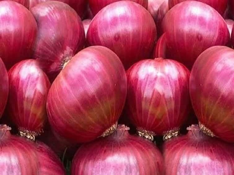 Maharashtra State Onion Farmers Association will meet President Draupadi Murmu Onion News : कांदा उत्पादक शेतकरी संघटना राष्ट्रपतींची भेट घेणार, एक टन कांदा भेट देणार
