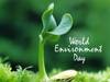 World Environment Day 2022 : गृहोपयोगी वस्तूंची तुमची निवड आणि त्यांचा काळजीपूर्वक वापर करून करा वसुंधरेचे संरक्षण