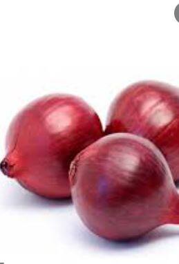 भाजपचे नेते किरीट सोमय्या देखील कांदा परिषदेला राहणार उपस्थित