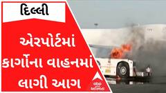 દિલ્લી એરપોર્ટમાં કાર્ગોના વાહનમાં લાગી આગ, મચી દોડધામ