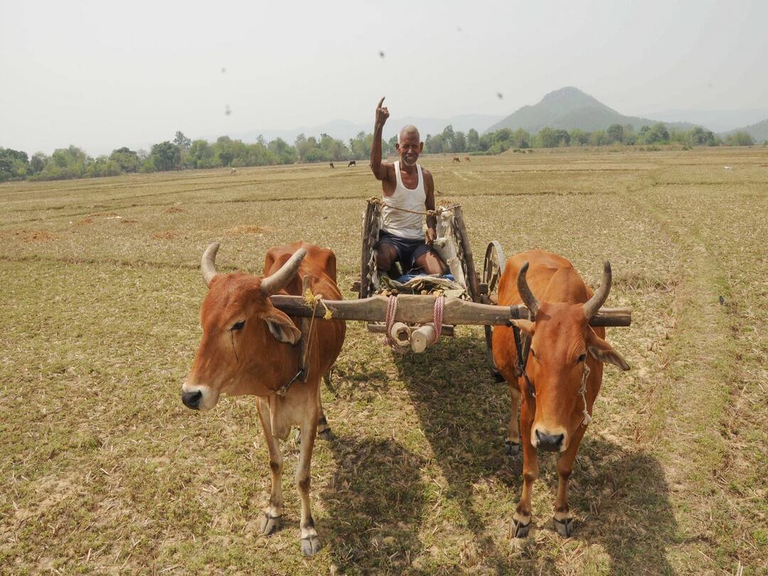 Know about Gujarat government's various agriculture schemes for farmers details inside Gujarat Agriculture Schemes: ગુજરાત સરકાર ચલાવે છે આ ખેડૂત સહાયલક્ષી યોજનાઓ, જાણો કઈ યોજના શેના માટે છે ?